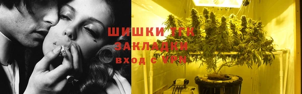 индика Каменногорск